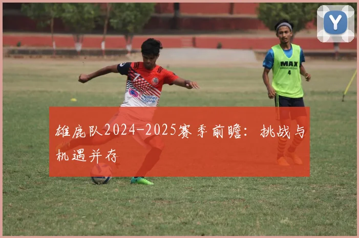 雄鹿队2024-2025赛季前瞻：挑战与机遇并存